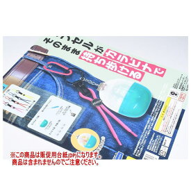 カプセルがカラビナでそのまま持ち歩ける ［DP(台紙) ※商品は含まれません］[250424]【ネコポス配送対応】