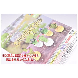 ぷちフィギュアコレクション キラキラサボテン2 ［DP(台紙) ※商品は含まれません］[250619]【ネコポス配送対応】