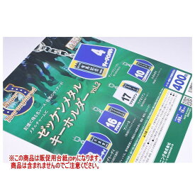 スーパーサラブレッドシリーズ ゼッケンメタルキーホルダーvol.2 ［DP(台紙) ※商品は含まれません］[250701]【ネコポス配送対応】