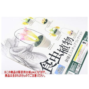 HA A~j`ARNV mDP(䎆) i͊܂܂܂n[250802]ylR|XzΉz