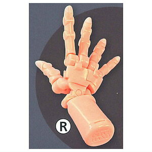 1/3 SCALE ����� �I���[�u�n���h Vol.2 [5.�y�[���I�����W(R)]�y �l�R�|�X�s�� �z