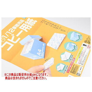 1/12pi Rs[p mDP(䎆) i͊܂܂܂n[251203]ylR|XzΉz