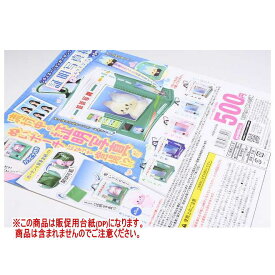 シチュエーションポーチシリーズ！証明写真機ポーチマスコット ［DP(台紙) ※商品は含まれません］[250201]【ネコポス配送対応】
