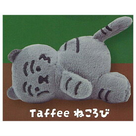 MUZIK TIGER のぬいぐるみ [2.Taffee ねころび]【 ネコポス不可 】【C】