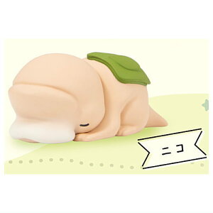 ͂߂܂ ˂˃tBMA [6.jR]ylR|XzΉzyCz[sale250618]