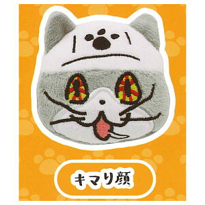 dL tFCXʂ [3.L}]ylR|XzΉzyCz[sale250809]