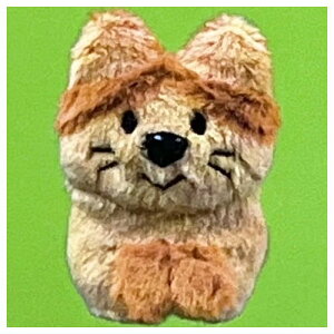 ˂bĴɂɂ񂨂ł}XRbg [4.`g˂bJ]y lR|Xs z[sale231103]