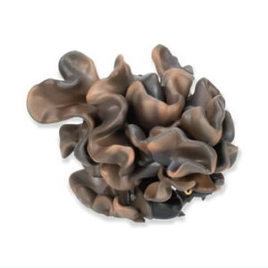 LmRhS }XRbg{[`F[3 [1.hS×LNQ]y lR|Xs zyCz[sale221103]