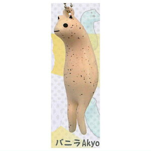 Akyo XNC[Y [2.oj Akyo]ylR|XzΉzyCz[sale231103]