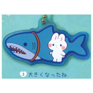 Ayu ƃT̃NAo[}XRbg [3.傫Ȃ]ylR|XzΉzyCz