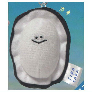 SIROCARA Ă̂Ђʂ [1.JL]ylR|XzΉzyCz