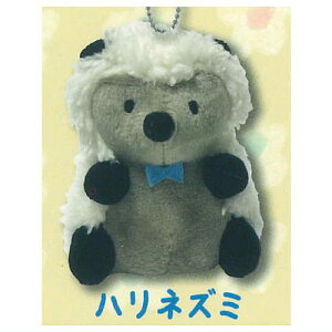 Bitte Mitte ʂ݃{[`F[ [3.nlY~]y lR|Xs zyCz