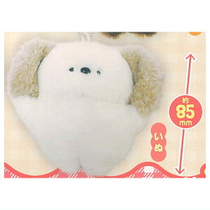 hammydacco ۂۂ̂ǂԂ ʂ݃`[RNV [5.]ylR|XzΉzyCz