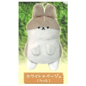 ق키̂Ă̂Ђʂ [5.zCg×x[W()]ylR|XzΉzyCz