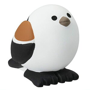 yV}GiK (ZCB-47984)z DECOLE concombre fR RRu qylR|XzΉzyCz