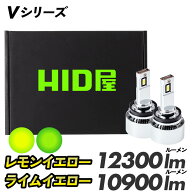 【HID屋】H8 H11 LED フォグ ヤバイ明るさ Vシリーズ フォグランプ 後付け 12300lm 車検対応 フォグ ライ…