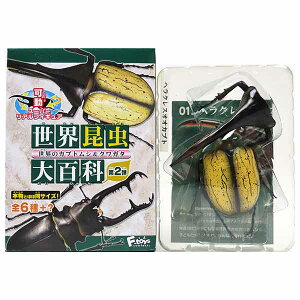 y1z GtgCY ES 2e ẼJugVNK^ wNXIIJug ~j`A tBMA  A H i Pi