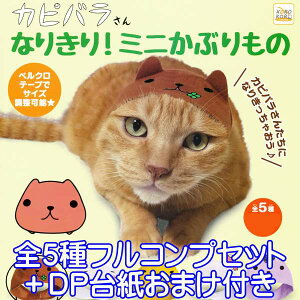 Jso Ȃ肫I~jԂ ˂̂Ԃ L lR RXv ߑ ObY K` ACs[tH[ЁiS5tRvZbg{DP䎆܂tj y[zyʌ