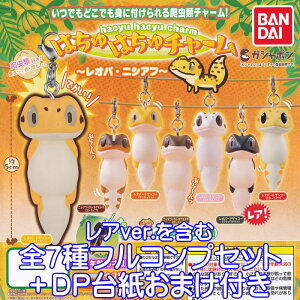 ͂͂`[ IpEjVAt o_C yAver.܂ޑS7tRvZbg{DP䎆܂tz ঒ gJQ cNV LN^[ ObY tBMA K`K` KV