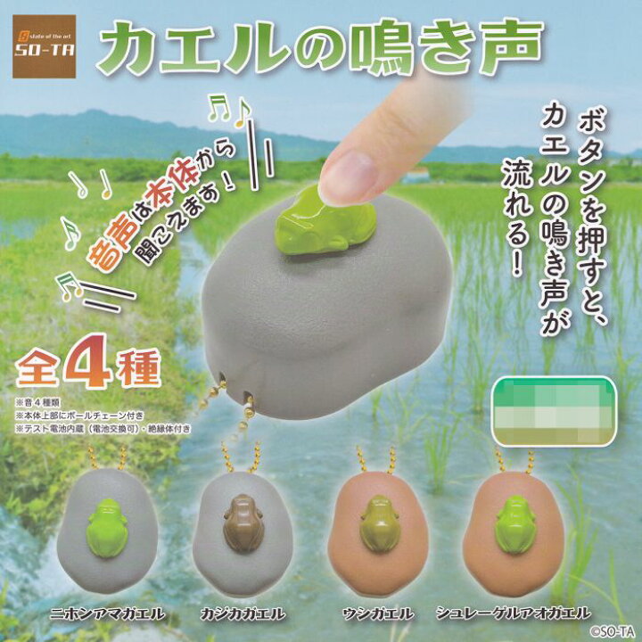 楽天市場 シュレーゲルアオガエル カエルの鳴き声 蛙 音声 ボタンを押す かえる グッズ Frog かわいい フィギュア 模型 おもちゃ ガチャガチャ So Ta 即納 在庫品 ネコポス配送対応可能 数量限定 セール品 トレジャーマーケット 楽天市場 シュレーゲルアオガエル カエルの鳴き声 蛙 音声 ボタンを押す かえる グッズ Frog かわいい フィギュア 模型 おもちゃ ガチャガチャ So Ta 即納 在庫品 ネコポス配送対応可能 数量限定 セール品 トレジャーマーケット