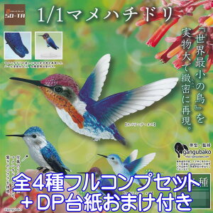 1/1 }n`h  쒹 Eŏ  gangubako O   ObY tBMA K`K` SO-TAiS4tRvZbg{DP䎆܂tj y[ ݌ɕizyʌz