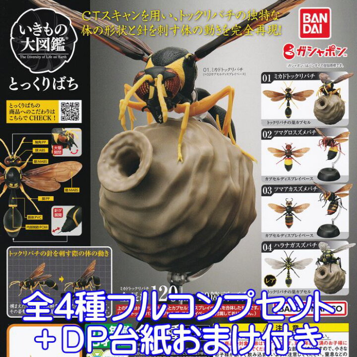 楽天市場 いきもの大図鑑 とっくりばち 蜂 昆虫 Ctスキャン グッズ 動物 フィギュア ハチ ガチャガチャ ガシャポン バンダイ 全４種フルコンプセット ｄｐ台紙おまけ付き 即納 在庫品 数量限定 トレジャーマーケット