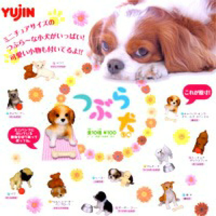 楽天市場 つぶら犬 ミニチュアサイズの可愛小犬 小型犬 おもちゃ ガチャガチャ ユージン 全１０種フルセット 即納 トレジャーマーケット