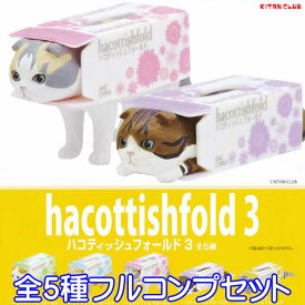 ハコティッシュフォールド 3 hacottishfold 3 フィギュア 猫 ネコ ねこ 箱ティッシュ グッズ ガチャ 奇譚クラブ（全5種フルコンプセット）【即納】【数量限定】