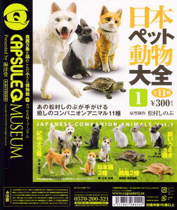 CmJvZQ~[WA {ybgS1 (S11tZbg+DP䎆܂t)y[z