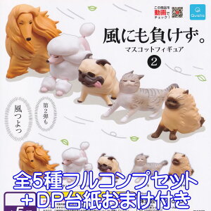 ɂB }XRbgtBMA2 Qualia yS5tRvZbg{DP䎆܂tz  L  Aj} ObY tBMA K`K` y[ ݌ɕizyʌz