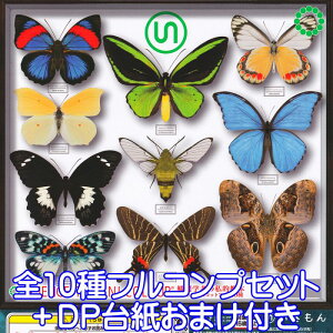 SCIENCE TECHNI COLOUR w҂̎IW{AN}XRbg3  yS10tRvZbg{DP䎆tz STC X  ObY tBMA K`K` y[ ݌ɕizylR|Xz