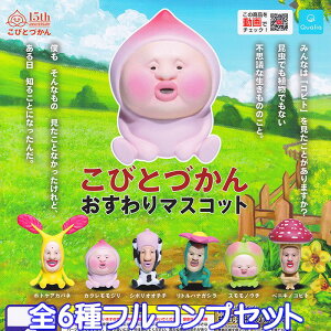 こびとづかん おすわりマスコット Qualia 【全6種フルコンプセット】 グッズ フィギュア ガチャガチャ 【即納 在庫品】【ネコポス配送対応可能】【数量限定】