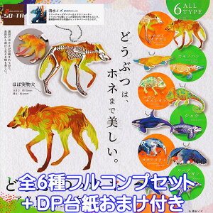 ǂԂ̃zlANL[`F[ SO-TA yS6tRvZbg{DP䎆܂tz   Aj} ObY ANL[ K`K` y[ ݌ɕizyʌz