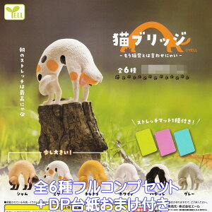 LubW LwƂ͌킹ɂႢ G[ yS6tRvZbg{DP䎆܂tz Xgb` L ObY ~j`A tBMA K`K` y[ ݌ɕizyʌzyt