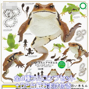 ネイチャーテクニカラー MONO PLUS ヒキガエルとアマガエル マグネット&ボールチェーン いきもん 【全6種フルコンプセット+DP台紙おまけ付き】 NTC 蛙 グッズ フィギュア ガチャガチャ 【即