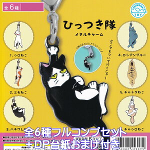 Ђ ^`[ ΐߋ yS6tRvZbg{DP䎆܂tz L ObY K`K` JvZgCy[ ݌ɕizyʌzytRv[gz