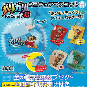 KKN ~j`A}XRbg Egj[vjO yS5tRvZbg{DP䎆܂tz Ice Candy AKAGI×GARIPRO LN^[ ObY tBMA K`K` JvZg