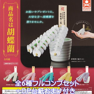 i͌Ӓ X^hEXg[Y yS6tRvZbg{DP䎆܂tz ~j`A ObY tBMA K`K` JvZgCy[ ݌ɕizyʌzytRv