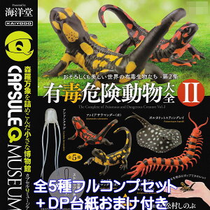 JvZQ~[WA LŊ댯SII Cm yS5tRvZbg{DP䎆܂tz CAPSULEQ MUSEUM ̂ E̗LŐ 2e ObY tBMA K`K` JvZg