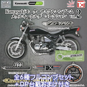 Kawasaki[^[TCNGu ^L[z_[RNV Vol.2 gCYLr yS6tRvZbg{DP䎆܂tz JTL oCN ObY ^L[ K`K` J
