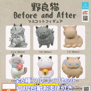 ǔL Before and After }XRbgtBMA Qualia yS6tRvZbg{DP䎆܂tz lR َq R{ ObY tBMA K`K` JvZgCy[ ݌ɕizy