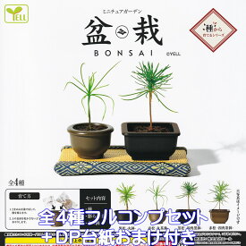 ミニチュアガーデン 盆栽 エール 【全4種フルコンプセット＋DP台紙おまけ付き】 BONSAI 種から育てるシリーズ グッズ 黒松 赤松 植物 ディスプレイ ガチャガチャ カプセルトイ【即納 在庫品】【数量限定】【フルコンプリート】