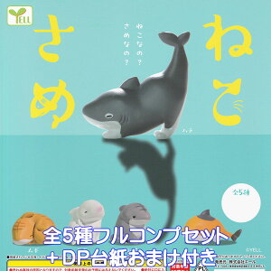 ˂ G[ yS5tRvZbg{DP䎆܂tz L L ObY tBMA NEKOSAME 킢 R{[V K`K` JvZgCy[ ݌ɕizyʌzyt