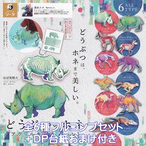 ǂԂ̃zl ANL[`F[3 SO-TA yS6tRvZbg{DP䎆܂tz ANIMAL BONES ACRYLIC KEY CHAIN  Aj}  ObY ANL[ K`K` JvZgCy[ ݌