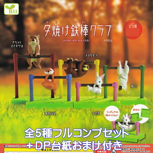 [ĂS_Nu G[ yS5tRvZbg{DP䎆܂tz  Aj} ObY tBMA K`K` JvZgCy[ ݌ɕizyʌzytRv[gz