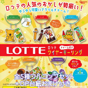 LOTTE ���b�e �`���[���t�����C���[�L�[�����O �s�[�i�b�c�E�N���u �y�S5��t���R���v�Z�b�g�{DP�䎆���܂��t���z �~�j�`���A �O�b�Y �t�B�M���A �K�`���K�`�� �J�v�Z���g�C�y���[ �݌ɕi�z