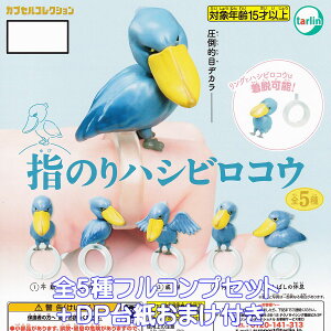 ŵnVrRE ^[EC^[iVi yS5tRvZbg{DP䎆܂tz JvZRNV   ObY tBMA SHOEBILL V[r K`K` JvZ