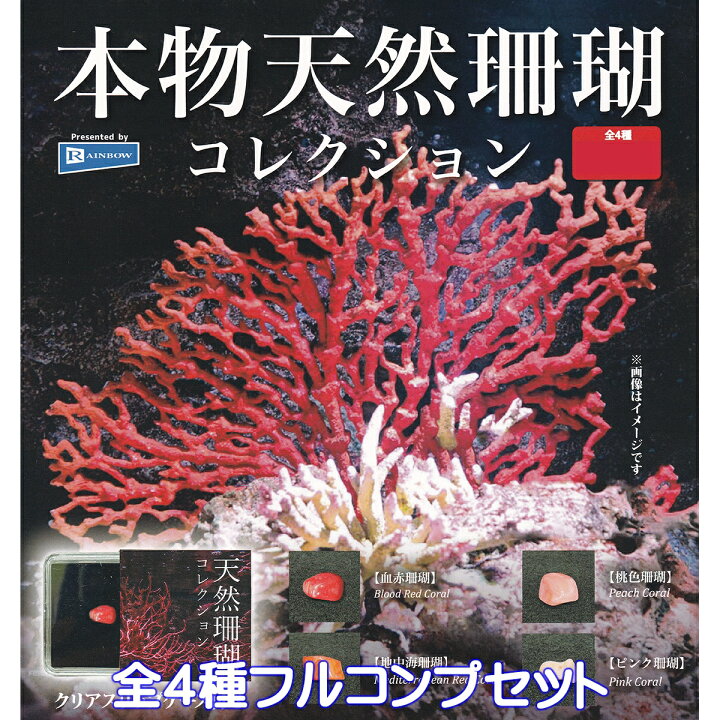 楽天市場】本物天然珊瑚コレクション レインボー 【全4種  