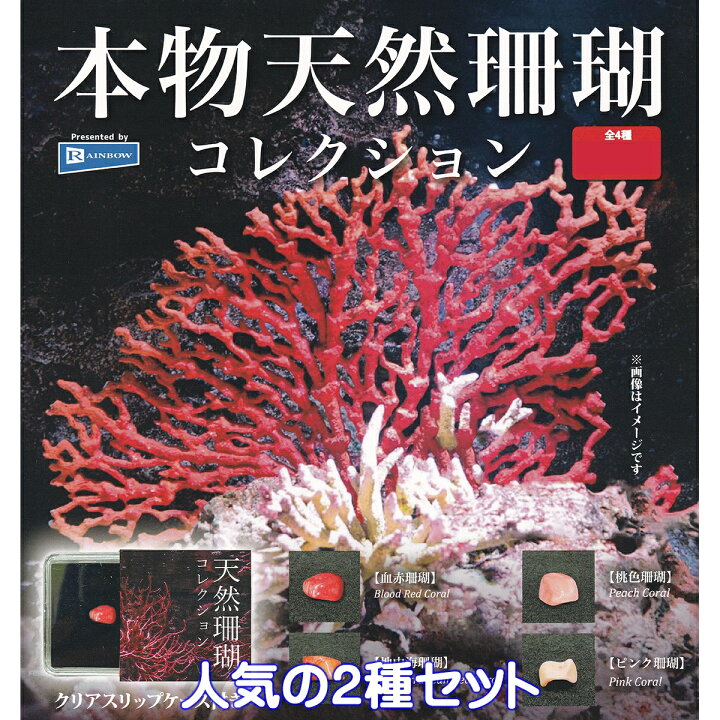 楽天市場】本物天然珊瑚コレクション レインボー 【人気の2種セット 