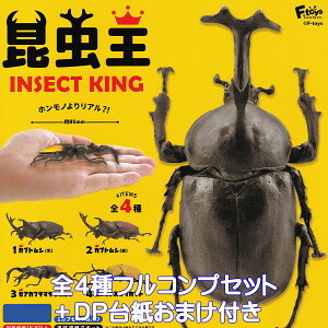  INSECT KING GtgCYERtFNg yS4tRvZbg{DP䎆܂tz b CZNg LO ObY tBMA K`K` JvZgCy[ ݌ɕizyʌ